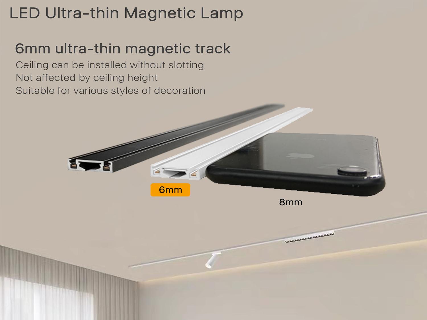 Ultra-thin Magnetic Track 