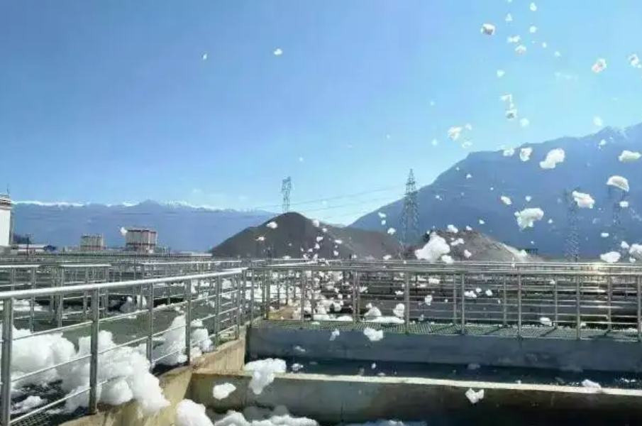 微信图片_20250228164806