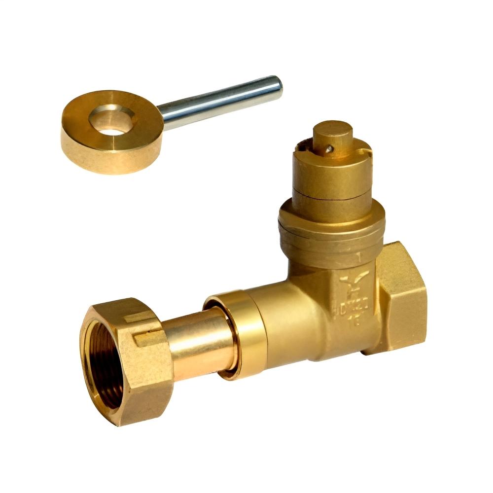 High Quality DN20 Pn16 Magnetic Locking Brass Gate Valve Brass Stem