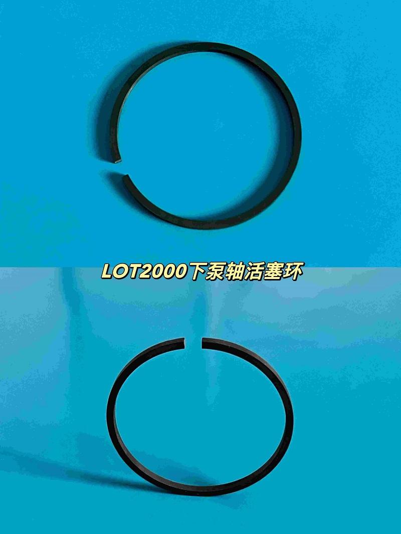 LOT HD 1200 Lower pump Sealing ring