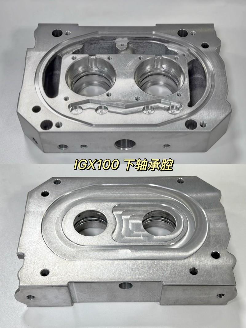 IGX 100 Bearing cavity