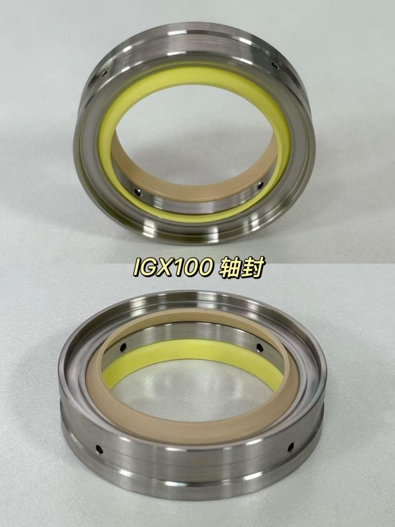 IGX100 Shaft seal