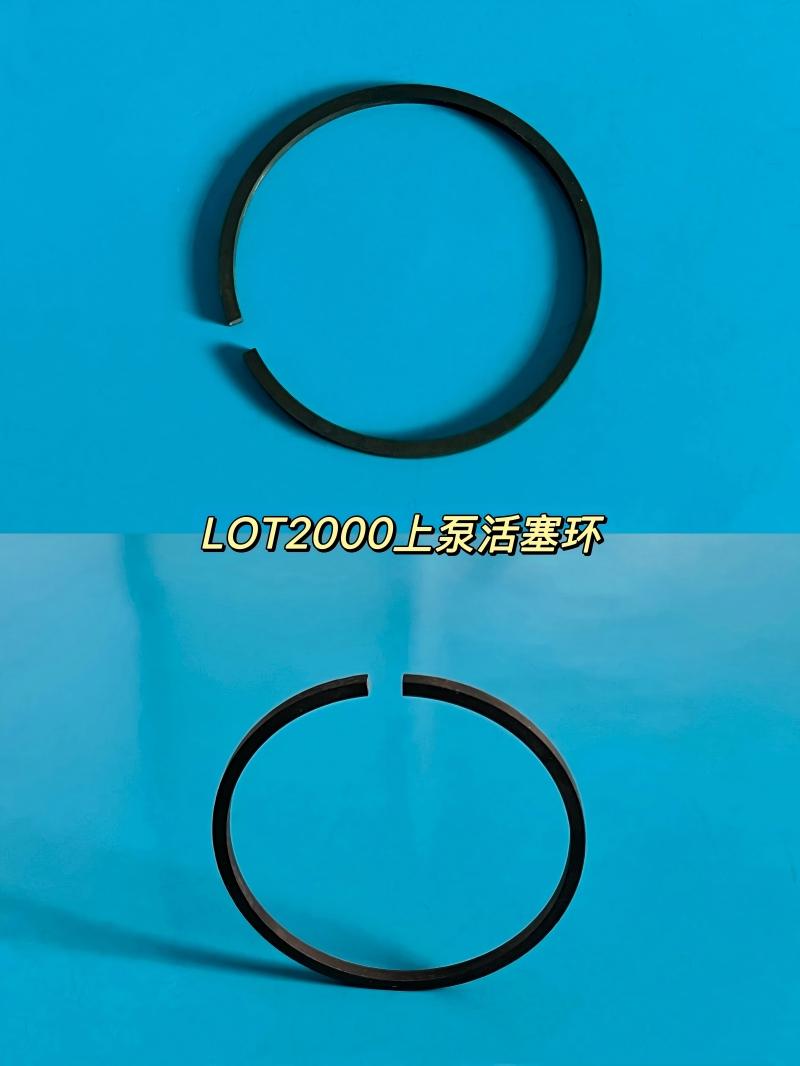LOT2000 Upper pump Sealing ring
