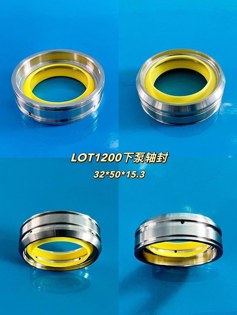 LOT 1200 Lower pump shaft seal