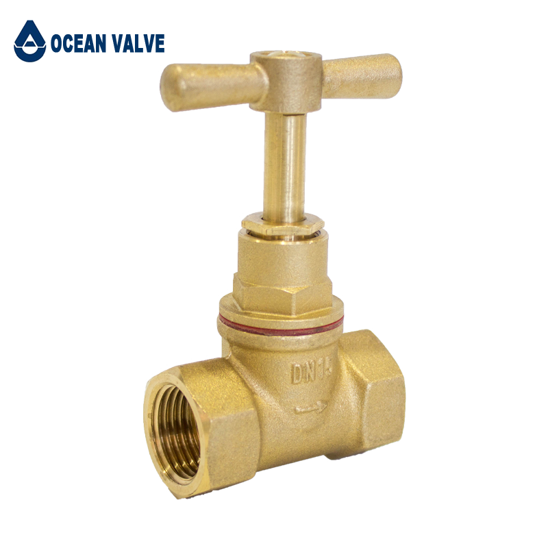 Copper globe valve (1)