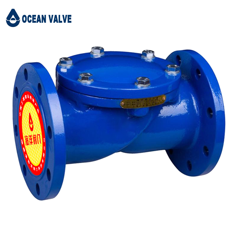 Factory Ductile Iron Rubber Flap Check Valve