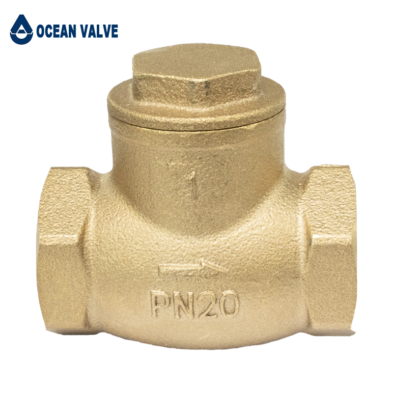 Brass check valve-9