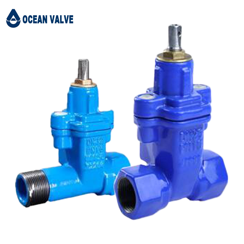 Threaded Gate Valve