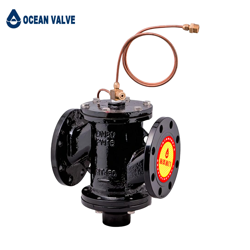 Self-Acting Pressure Differential Control Valve Are Manufactured in Ocean Valve China