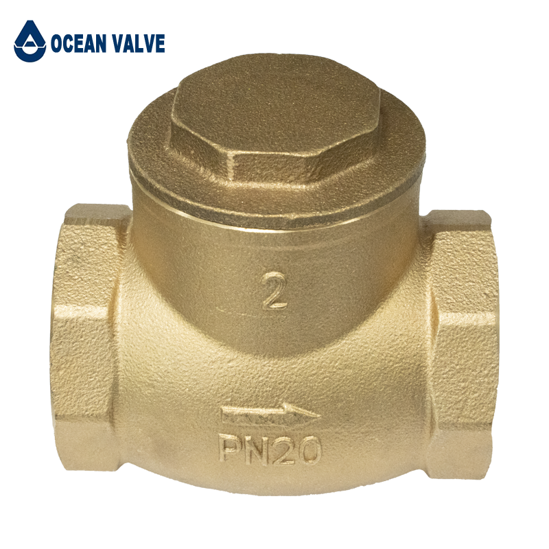 Brass check valve-10