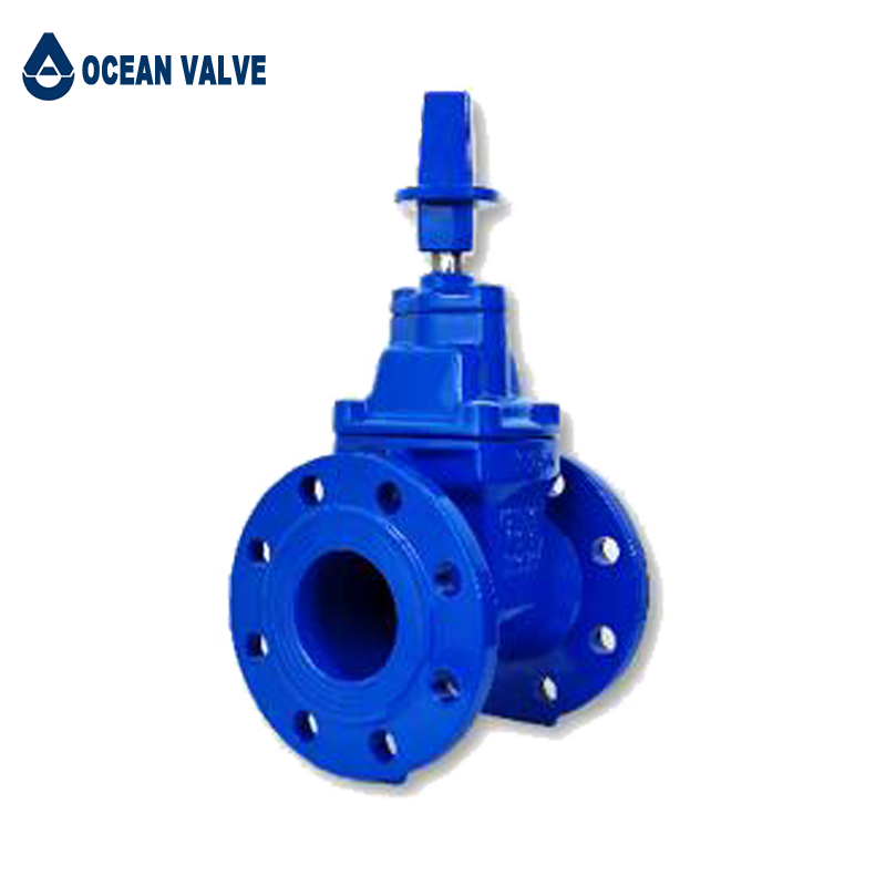 Gate Valve - Gland type