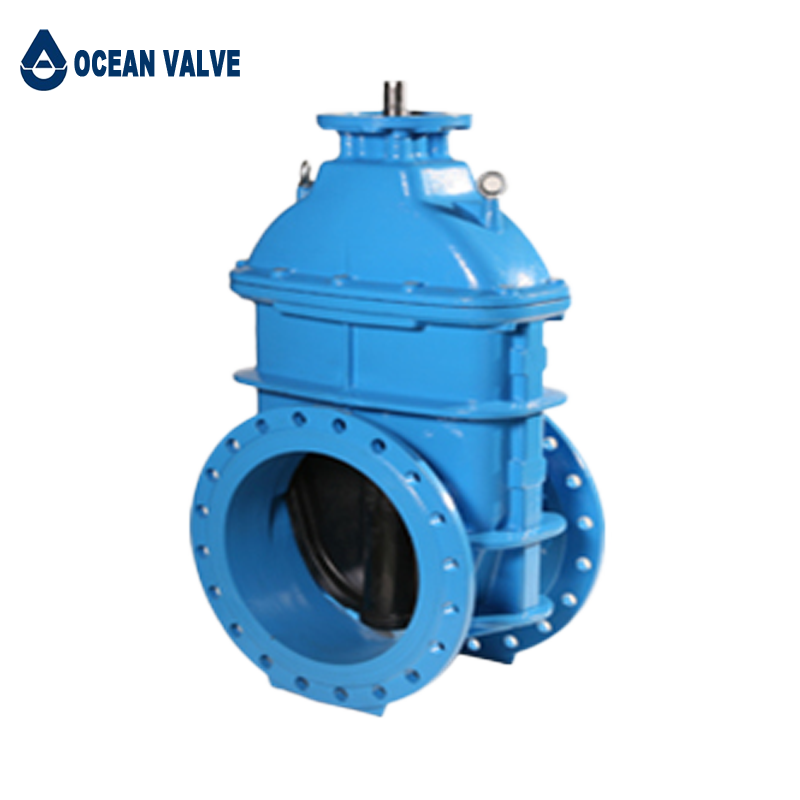 Resilient Seated Gate Valve With Top Flange