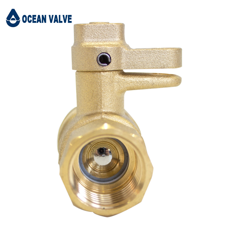 Duckbill lock valve (1)