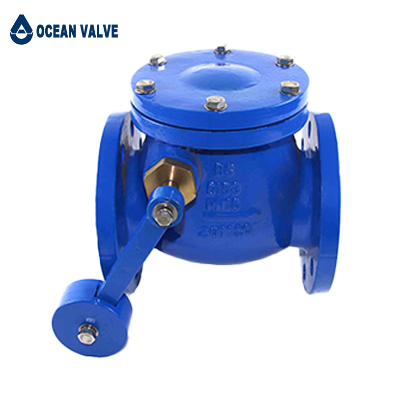 Swing Check Valve