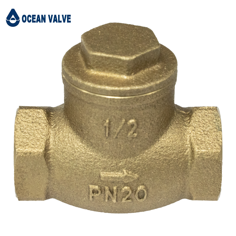 Brass check valve-14