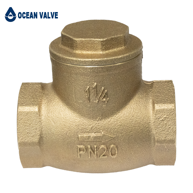 Brass check valve-12