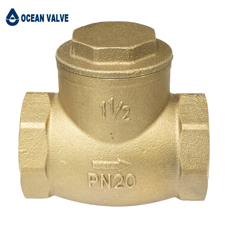 Brass check valve-11