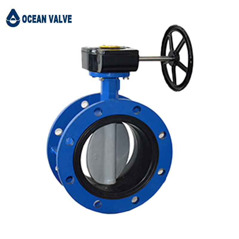 Double Flange Concentric Butterfly Valve