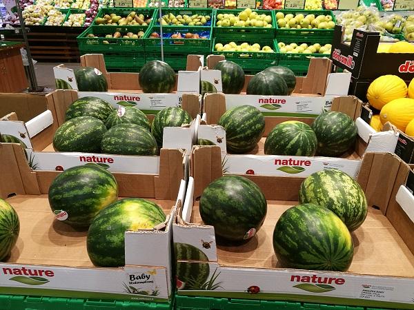 Design structure of carton packaging